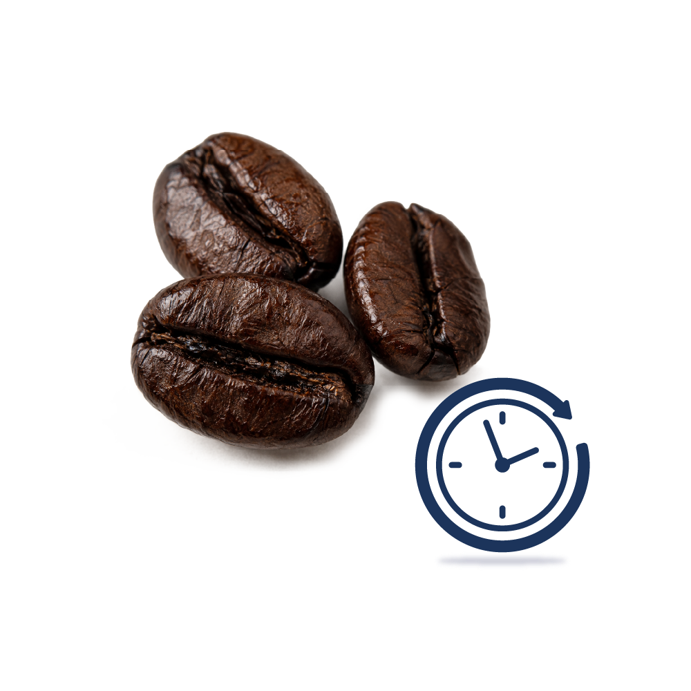 Özstar Machine | OS-2K Coffee Roasting Machine