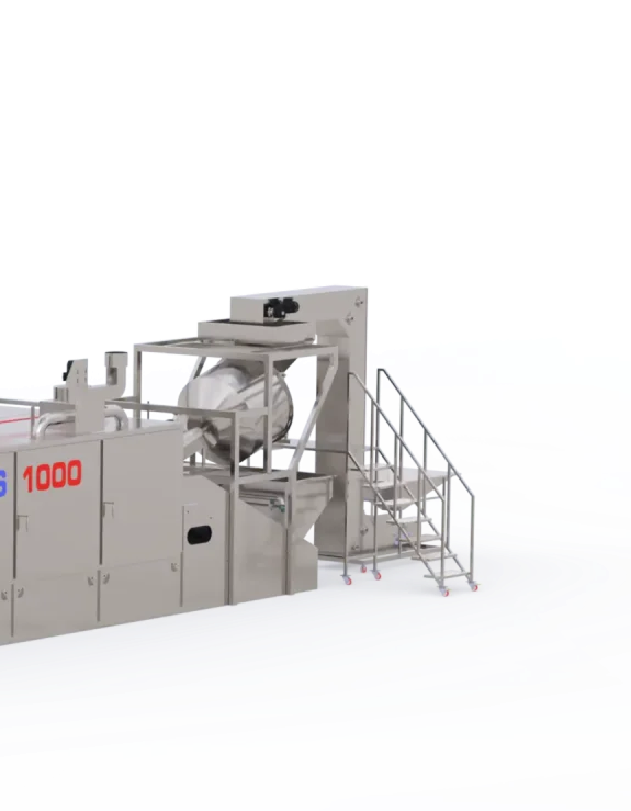 Nuts Salting Stage